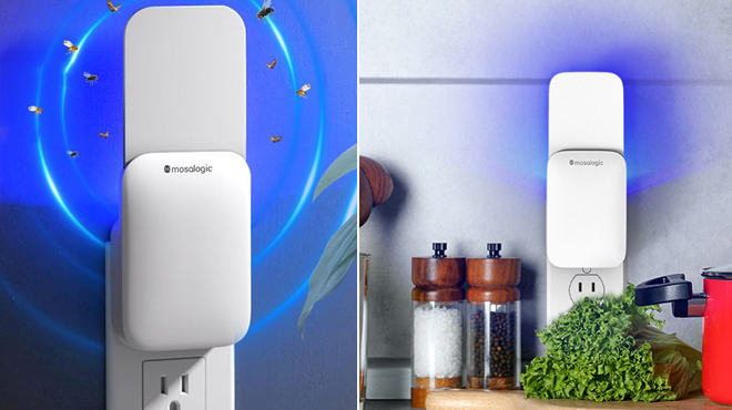 Flying Insects Trap in Use