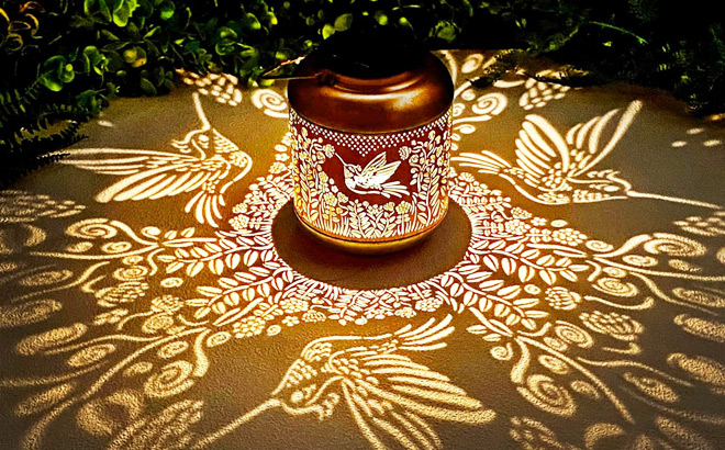 Hummingbird Solar Lantern Hummingbird Solar Lantern