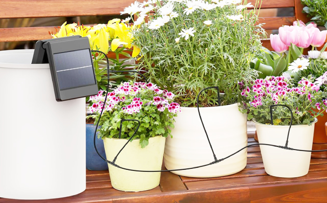 Solar Garden Watering System