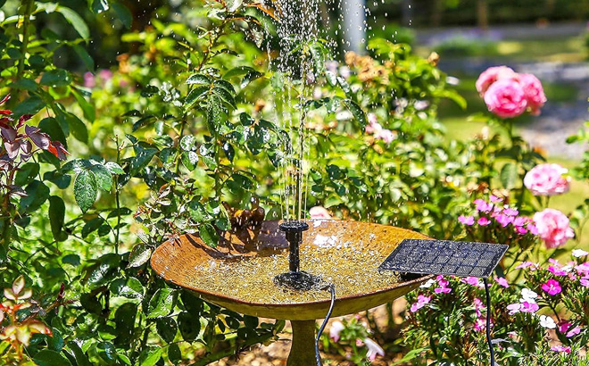 Solar Water Pump Kit