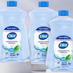 Three Bottles of Dial Antibacterial Foaming Hand Soap Refills