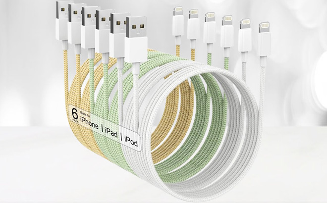 iPhone Charger Cables 6 Pack