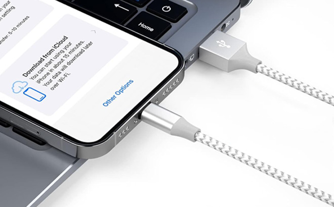 iPhone Long Lightning Cable