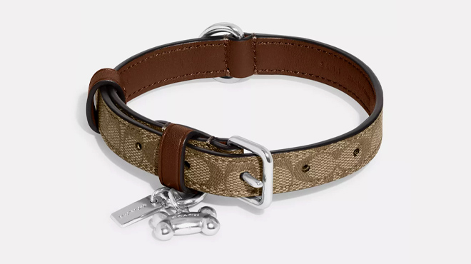 Coach Outlet Boxed Small Pet Collar In Signature Canvas 2 Coach Outlet Boxed Small Pet Collar In Signature Canvas