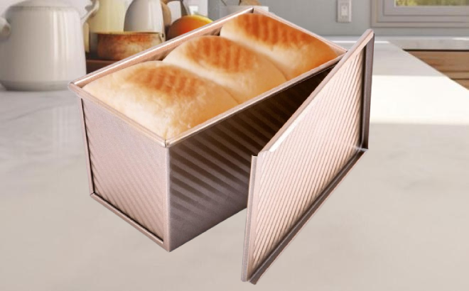 Bread Pan with Lid Bread Pan with Lid