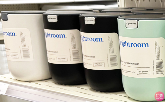 Brightroom Small Desktop Wastebaskets