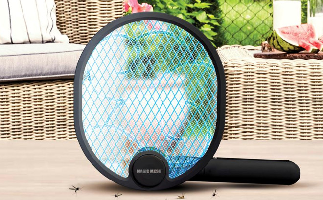 Bug Swatter and Zapping Lamp Bug Swatter and Zapping Lamp