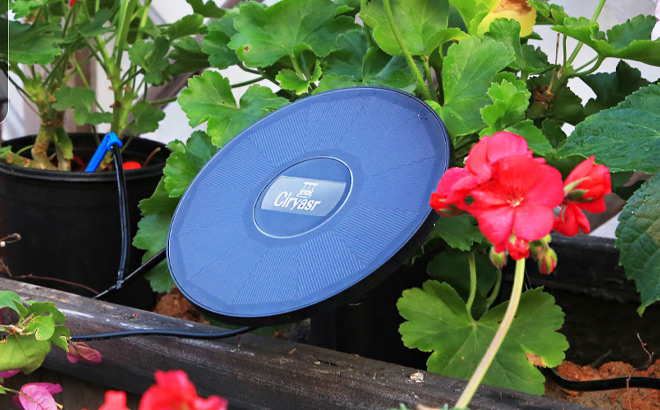 Ciryasr Solar Plant Watering System