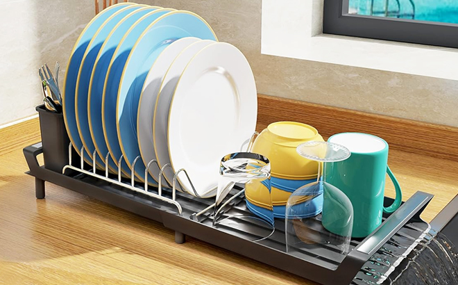 Expandable Dish Rack Utensil Holder