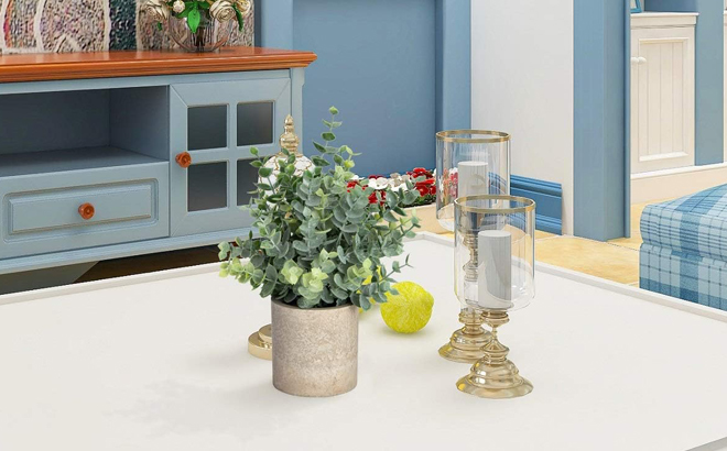 Artificial Eucalyptus Plant on a Table Artificial Eucalyptus Plant on a Table