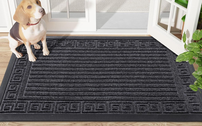 Finchitty Front Door Mat Finchitty Front Door Mat