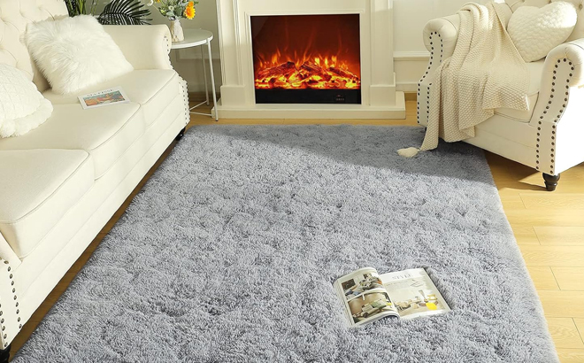 Lochas 4x5 Ultra Soft Fluffy Area Rug