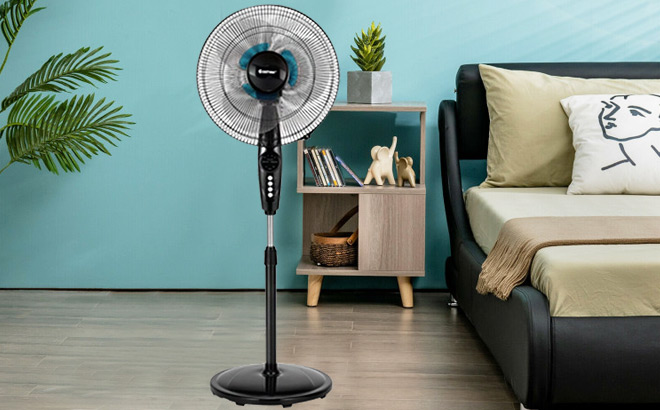Oscillating Pedestal Fan Oscillating Pedestal Fan