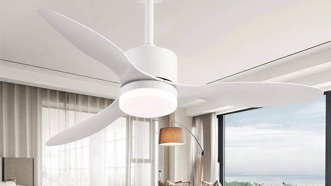 Outdoor Modern Ceiling Fan with Light