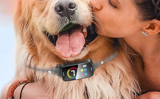Slaykam Dog Bark Collar