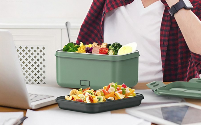 Vabaso Electric Lunch Box