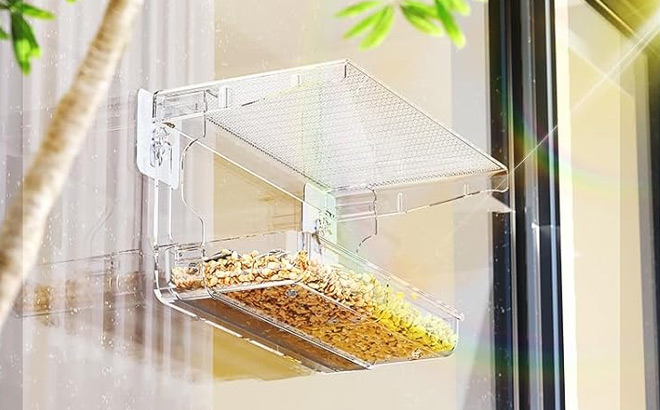 Window Bird Feeder