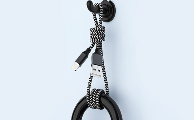 iPhone Fast Charging Cable