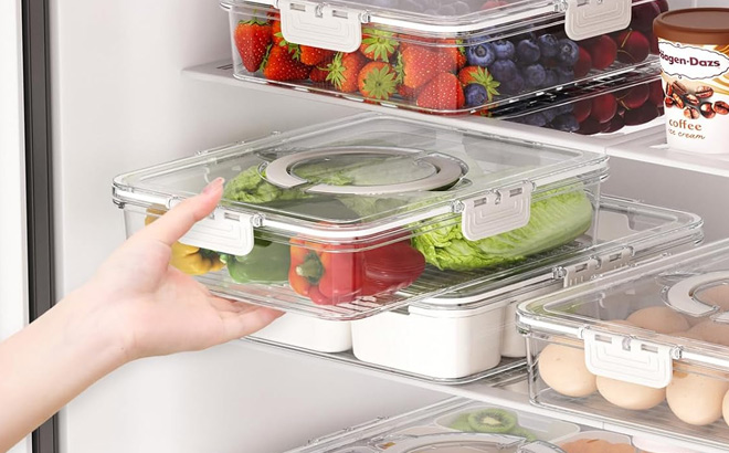 8 Compartment Snackle Box Container 8 Compartment Snackle Box Container