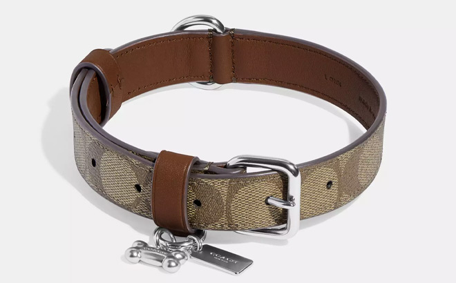 Coach Outlet Boxed Large Pet Collar In Signature Canvas Coach Outlet Boxed Large Pet Collar In Signature Canvas