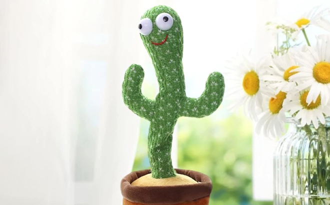 Dancing Cactus Toy