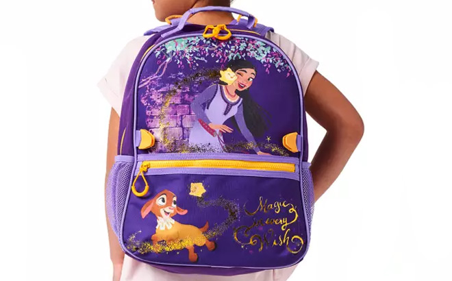 Disney Wish Backpack Disney Wish Backpack
