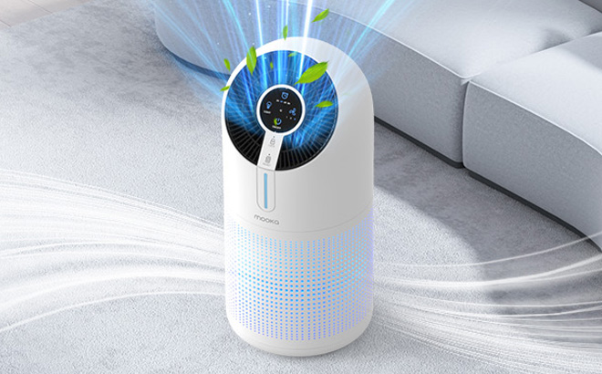 HEPA Air Purifier 2