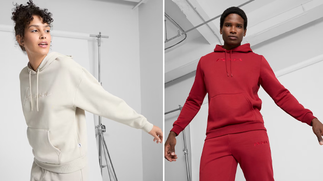 Puma Hoodies 2 Puma Hoodies