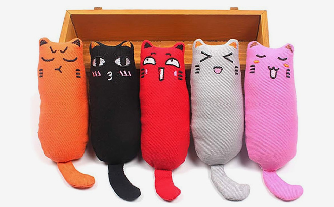 5 Piece Bite Resistant Catnip Toy