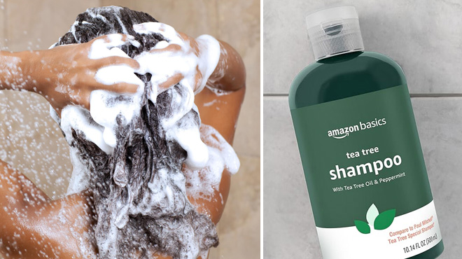 A Person Using Amazon Basics Tea Tree Shampoo A Person Using Amazon Basics Tea Tree Shampoo