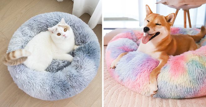 Calming Donut Small Pet Bed Calming Donut Small Pet Bed