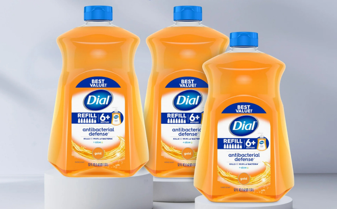 Dial Antibacterial Liquid Hand Soap Refills