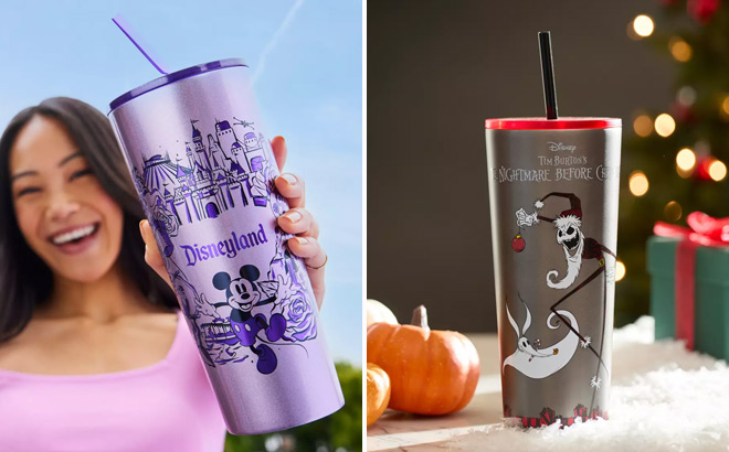 Disneyland Stainless Steel Starbucks Tumbler with Straw Disneyland Stainless Steel Starbucks Tumbler with Straw