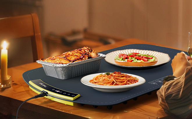Electric Warming Tray Electric Warming Tray