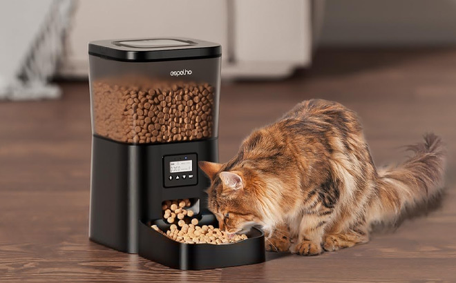 Espelho Automatic Cat Feeder Espelho Automatic Cat Feeder