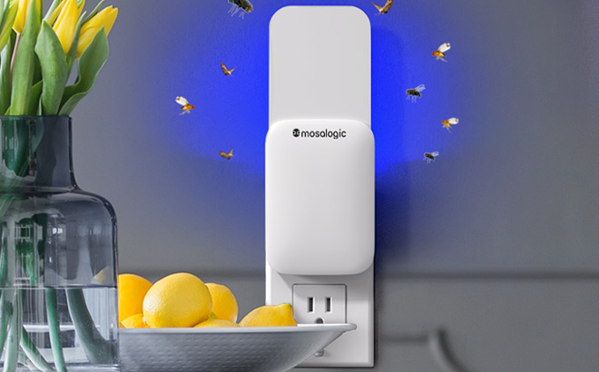 Fly Insect Trap Plug in Mosquito Killer 2 Pack Fly Insect Trap Plug in Mosquito Killer 2 Pack