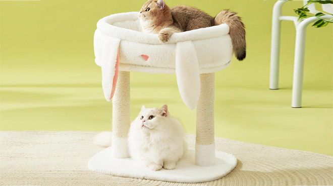 Lesure Cute Cat Tree Tower