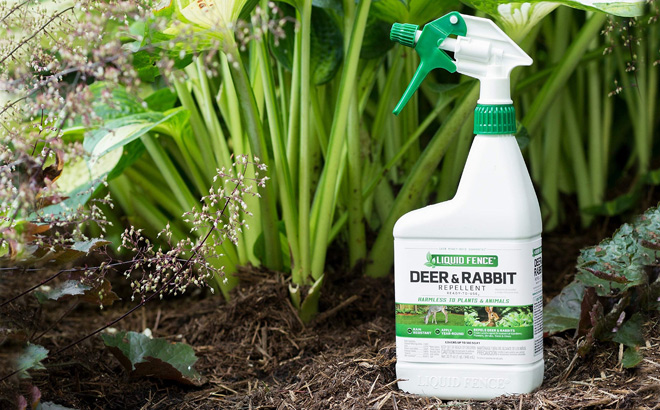 Liquid Fence Deer Rabbit Repellent Liquid Fence Deer Rabbit Repellent