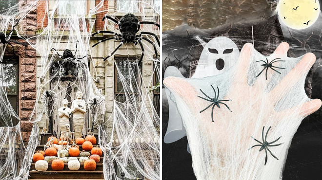 Spider Webs Decor Spider Webs Decor