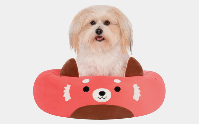 Squishmallows Original 20 Inch Cici The Red Panda Pet Bed Small Sized Ultrasoft Official Plush Pet Bed Squishmallows Original 20 Inch Cici The Red Panda Pet Bed Small Sized Ultrasoft Official Plush Pet Bed