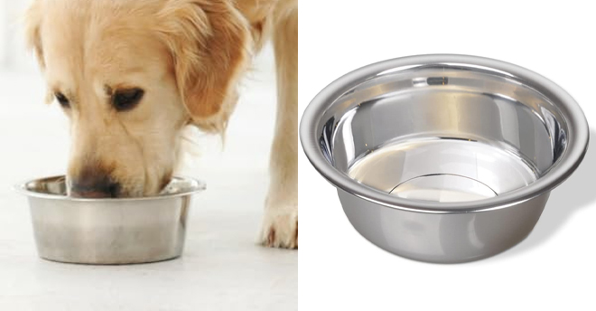 Van Ness Pets Medium Lightweight Stainless Steel Dog Bowl 32 Ounce Van Ness Pets Medium Lightweight Stainless Steel Dog Bowl 32 Ounce