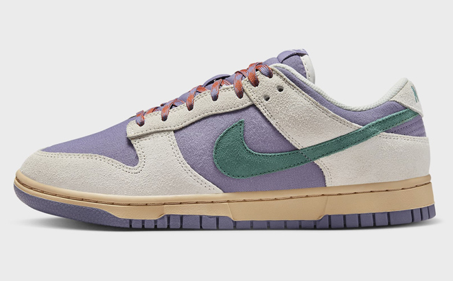 Nike Dunk Low Shoes 2 Nike Dunk Low Shoes