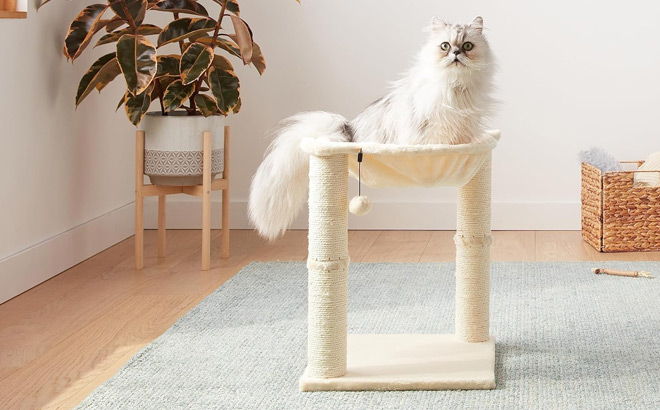 Amazon Basics Cat Tower with Hammock Amazon Basics Cat Tower with Hammock