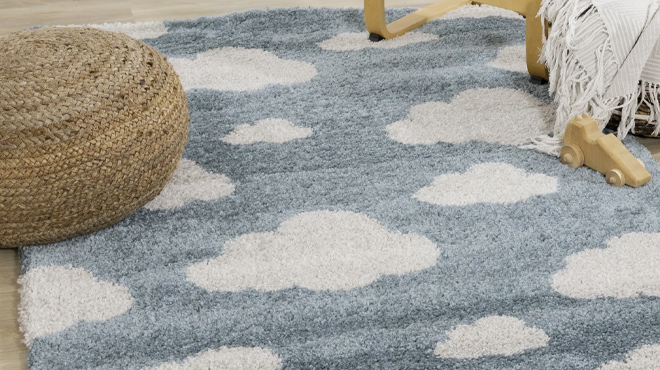 Broome Kestner Shag Area Rug Broome Kestner Shag Area Rug