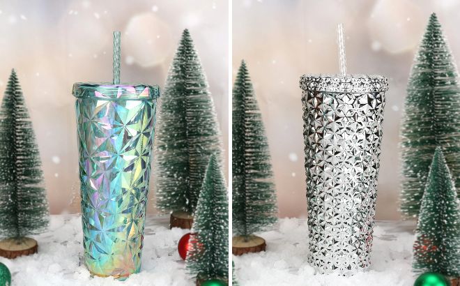 Holiday Time 26 Ounce Plastic Double Wall Insulated Textured Tumbler 1