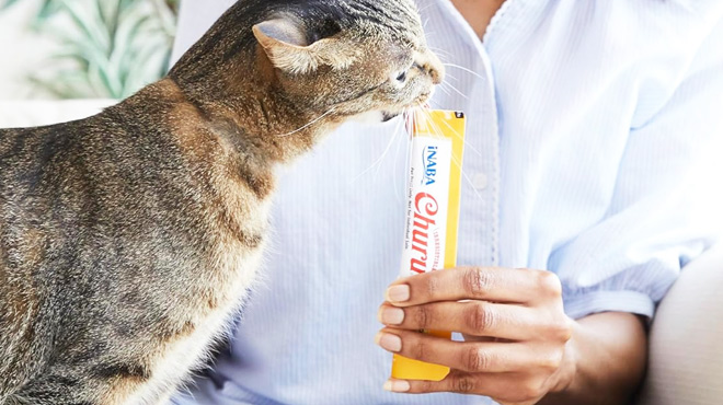 Inaba Churu Cat Treat Inaba Churu Cat Treat