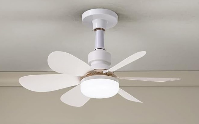 Ludomide Socket Fan Ludomide Socket Fan