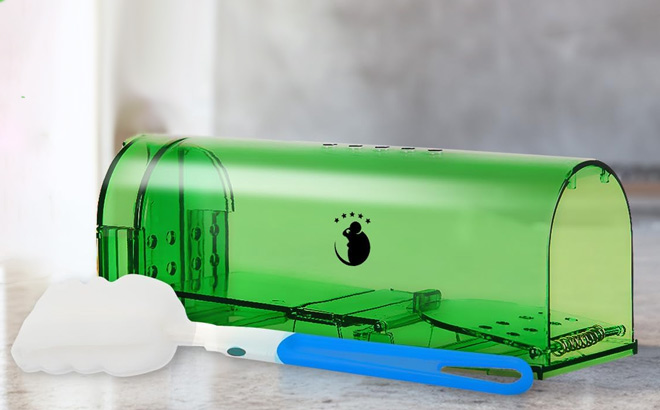 Mouse Trap Mouse Trap