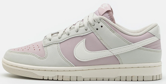 Nike Dunk Low Next Nature Sneaker
