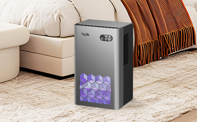 Portable Dehumidifier